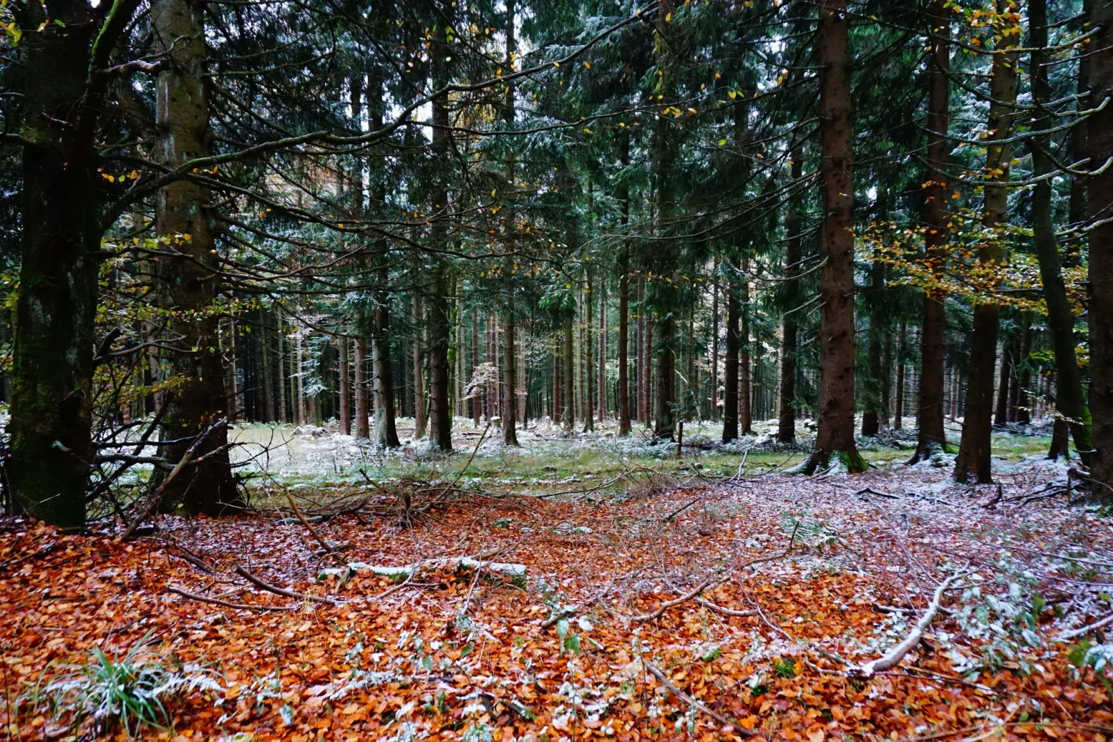 Landhaus Winterberg-Gebied winter 5km