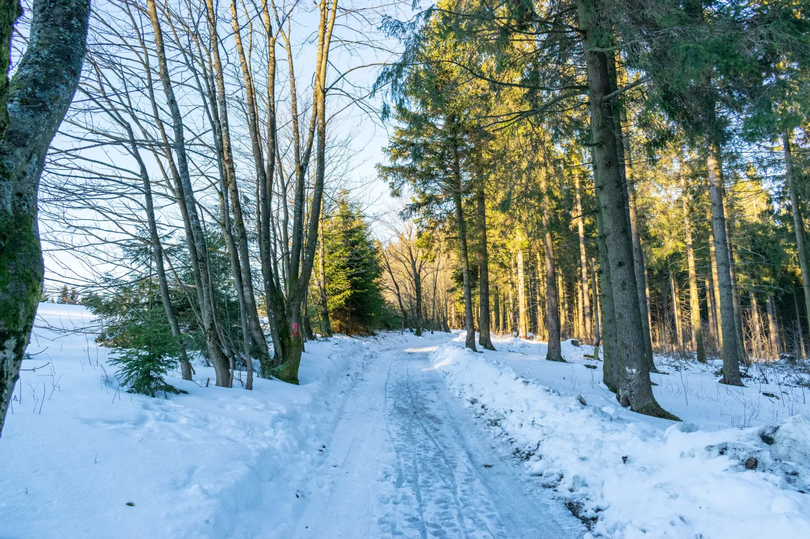 Idyllisch vakantiehuis bij het skigebied-Gebied winter 1km