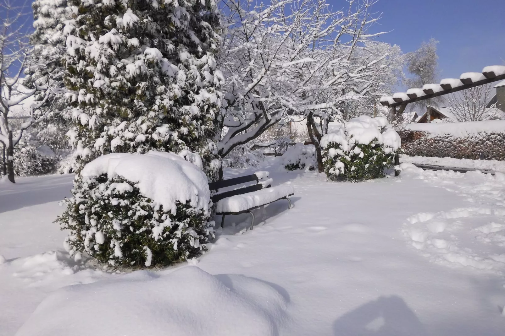 Winterberg-Tuin winter