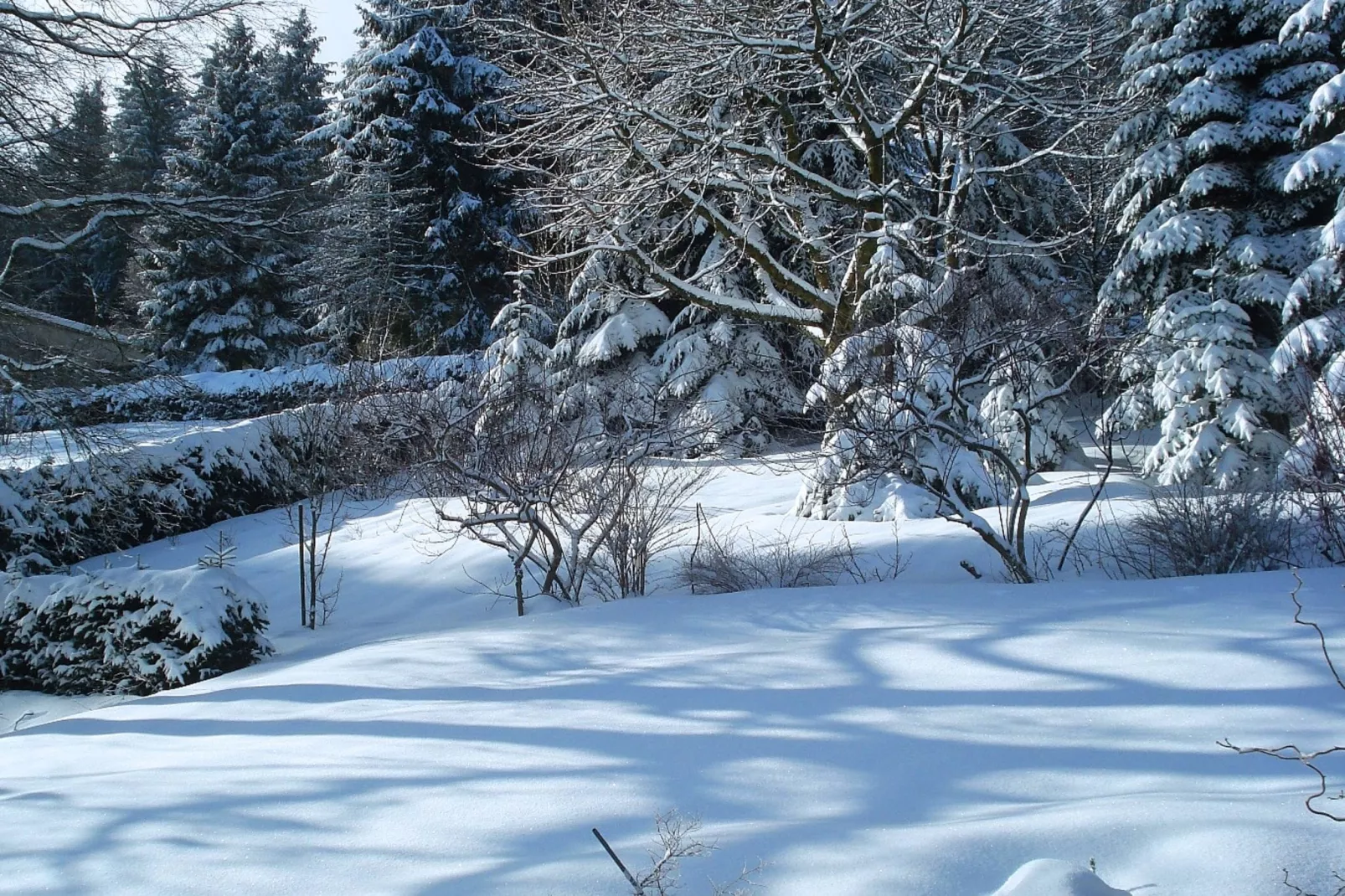 Am Astenberg-Tuin winter