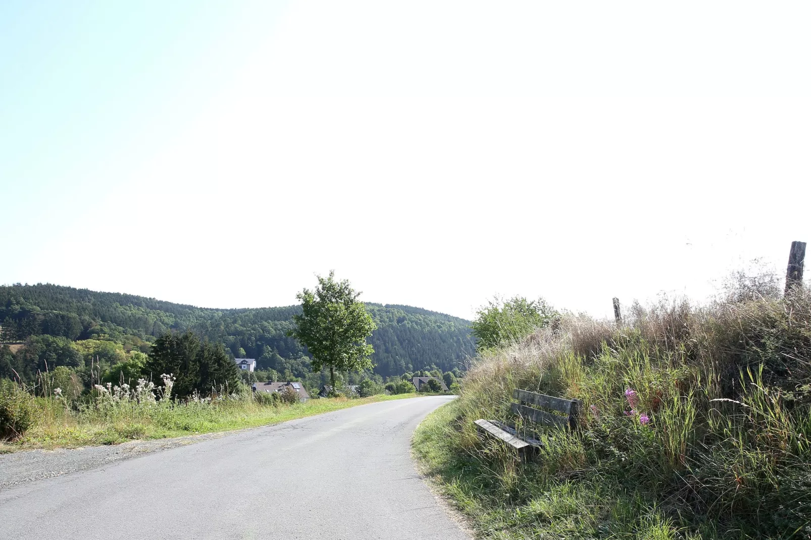 Grabenhaus-Gebieden zomer 1km