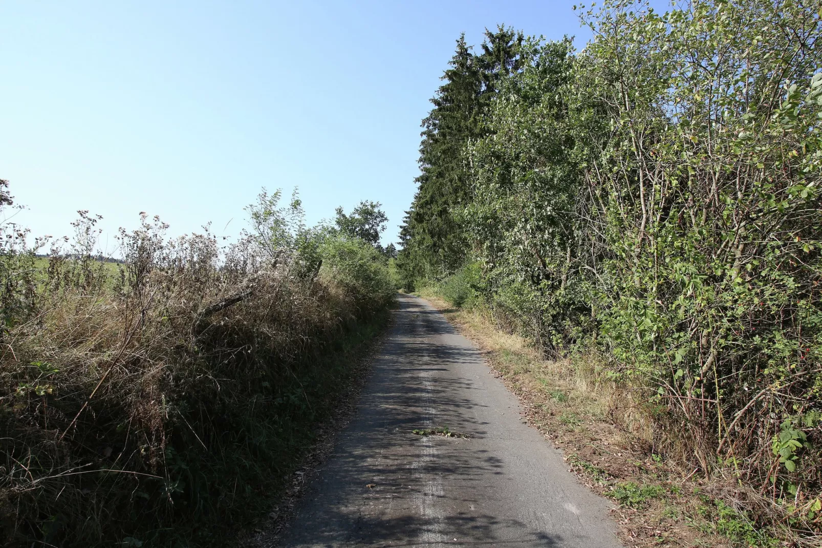 Grabenhaus-Gebieden zomer 5km