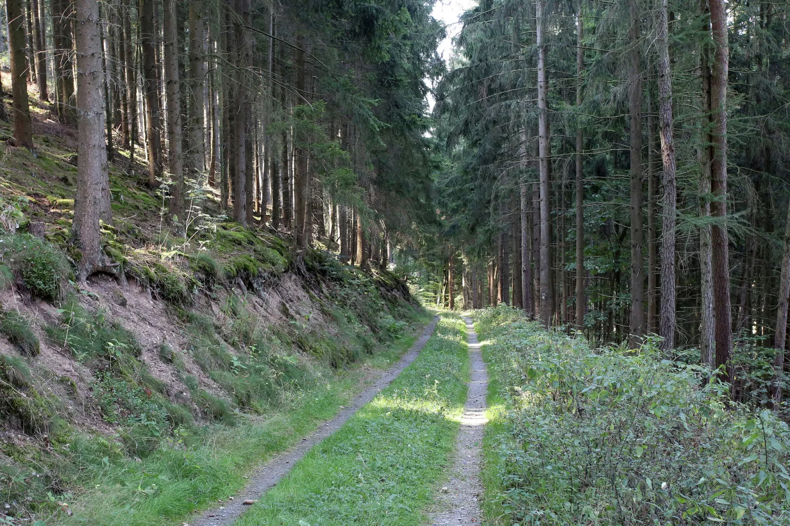 Grabenhaus-Gebieden zomer 20km