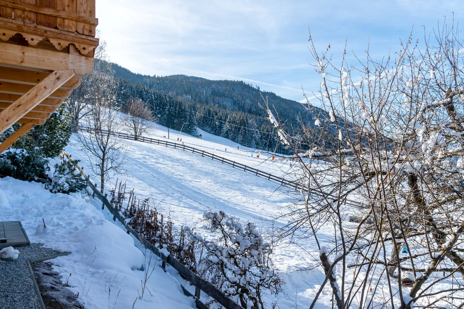 Panorama Chalet-Uitzicht winter