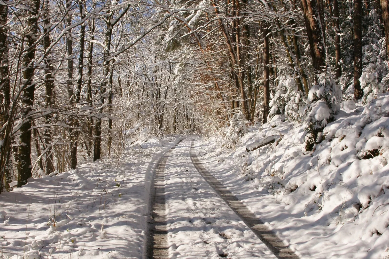Mossautal-Gebied winter 20km