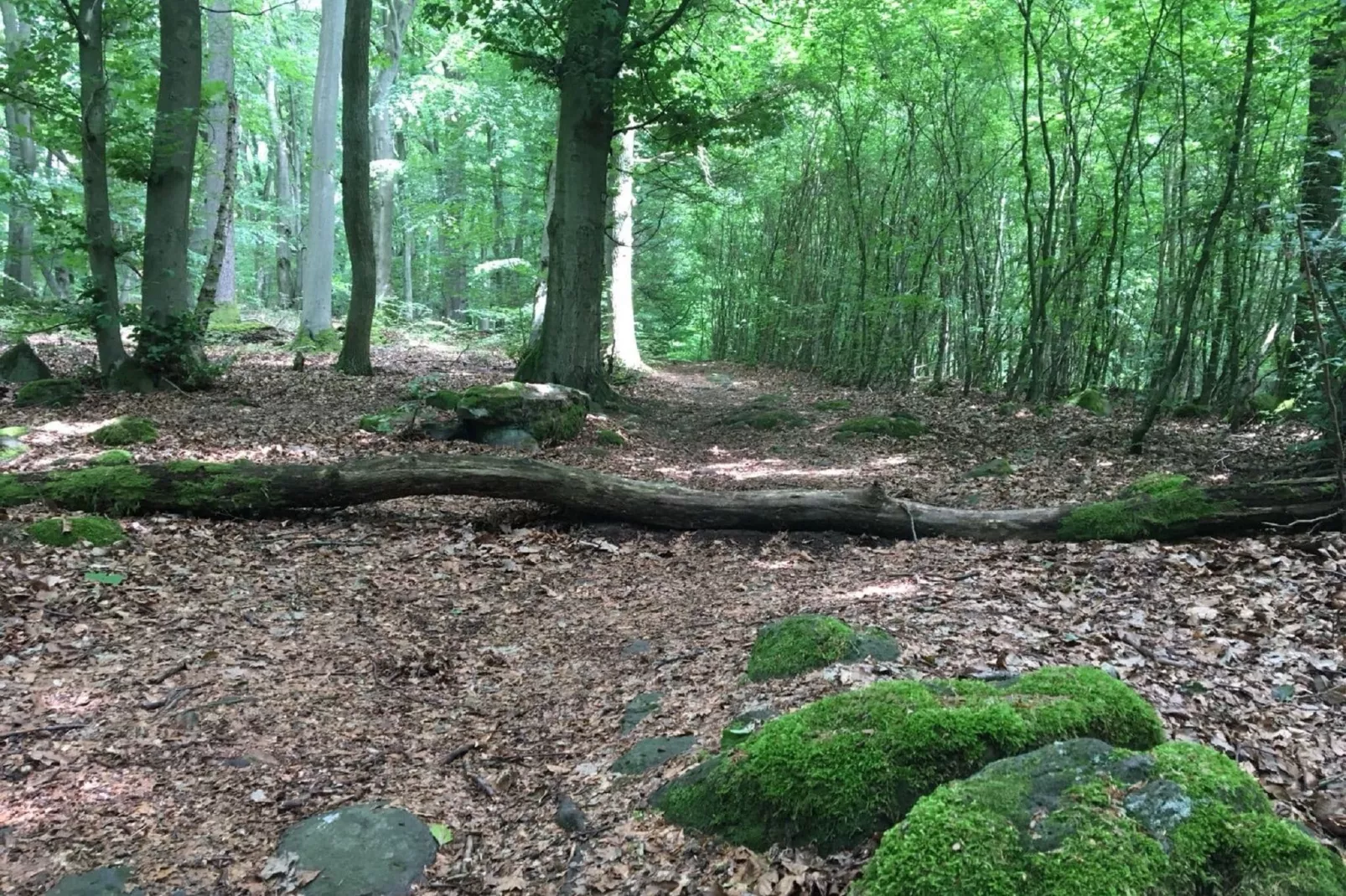Wanderfreund-Gebieden zomer 1km
