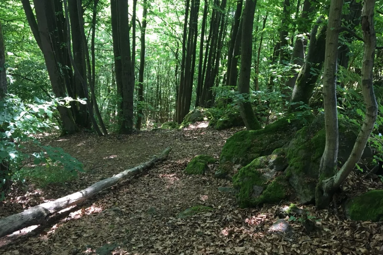 Wanderfreund-Gebieden zomer 5km