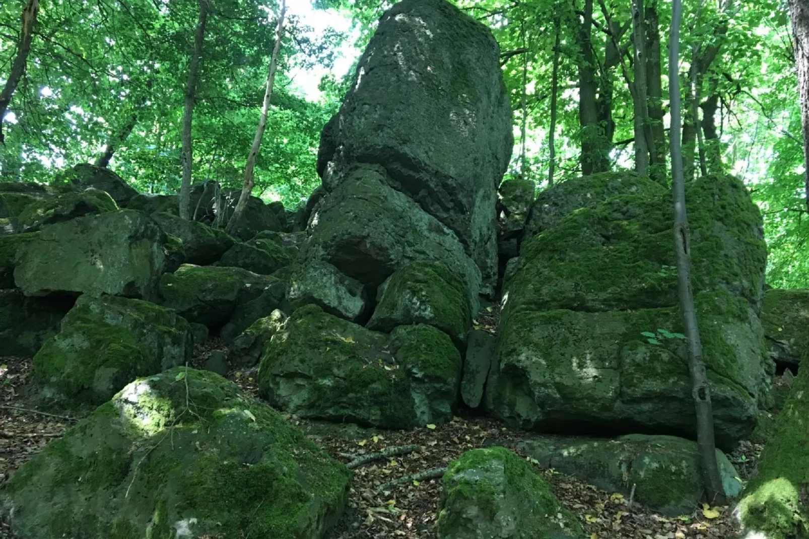 Wanderfreund-Gebieden zomer 5km