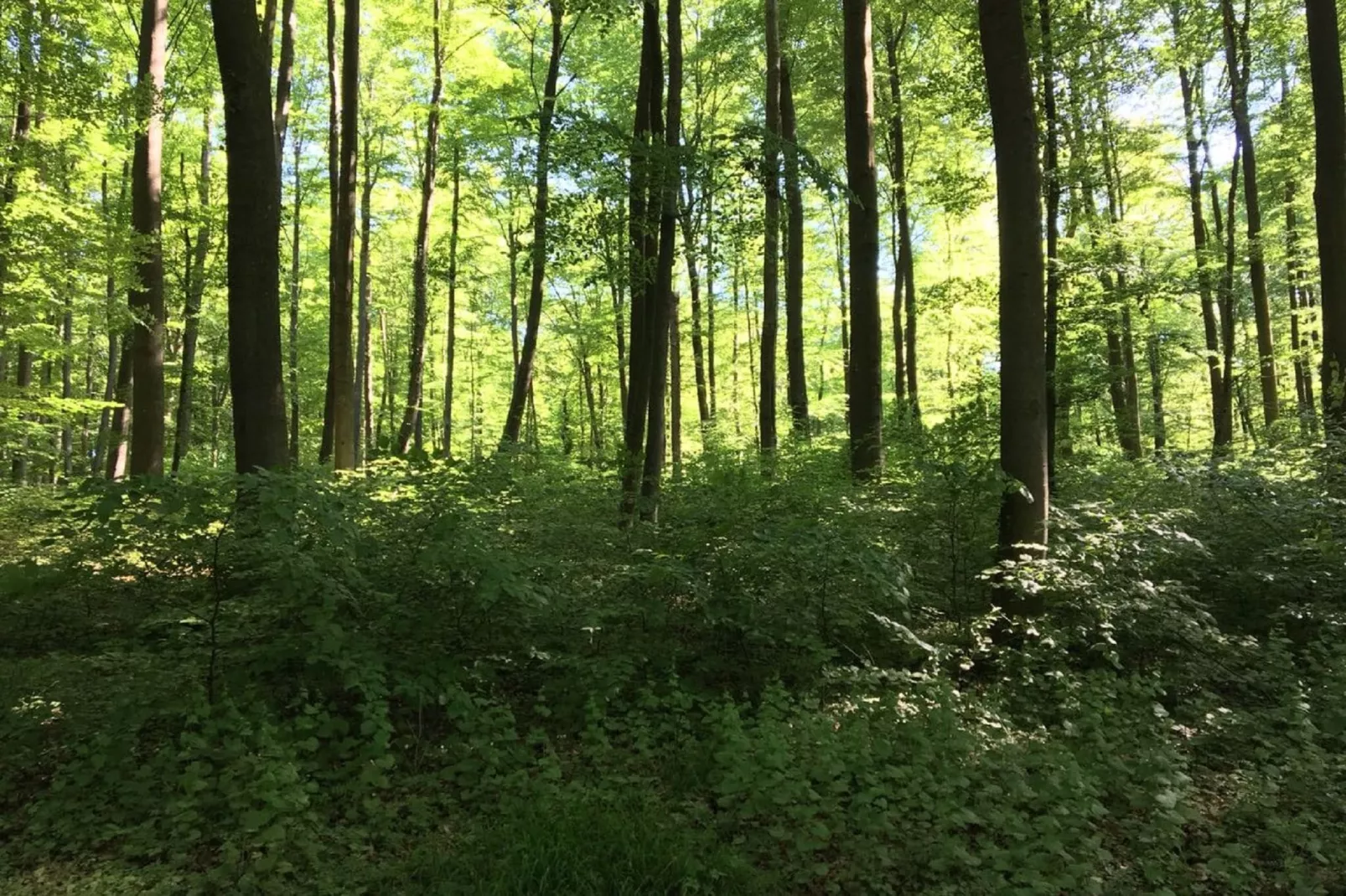 Wanderfreund-Gebieden zomer 5km