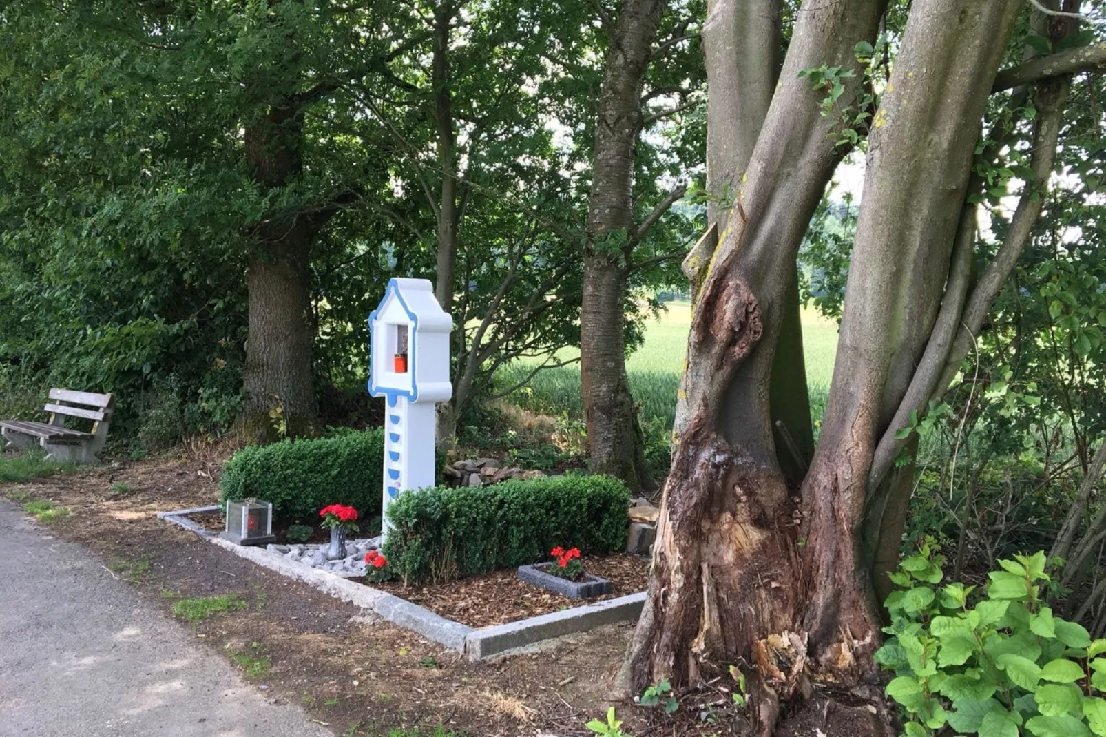 Wanderfreund-Gebieden zomer 5km