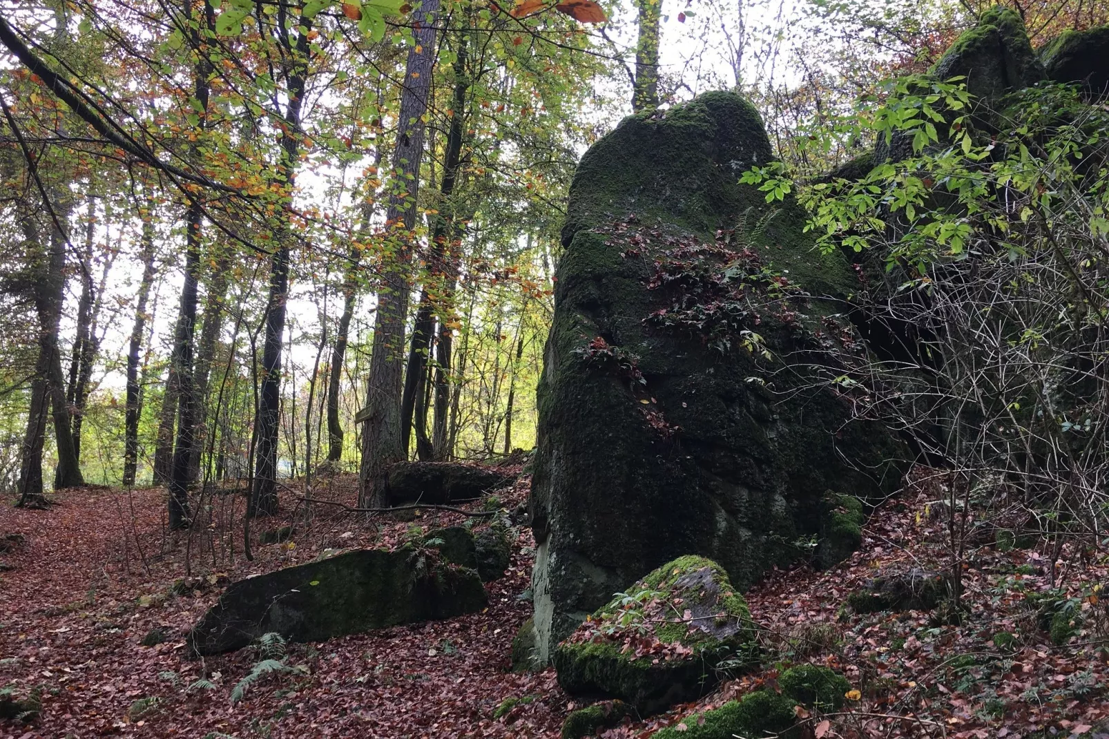 Wanderfreund-Sfeer