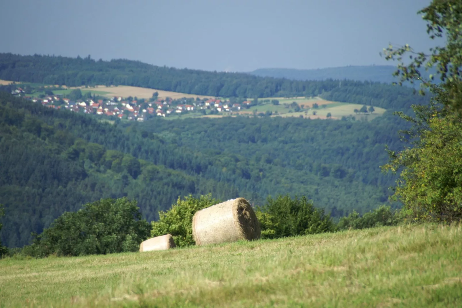 Feriendorf Waldbrunn 1-Gebieden zomer 5km