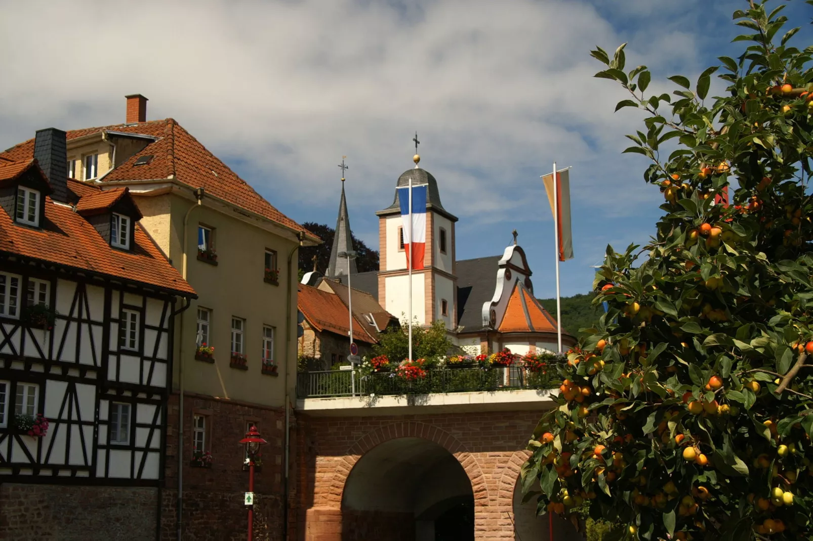 Feriendorf Waldbrunn 1-Gebieden zomer 20km