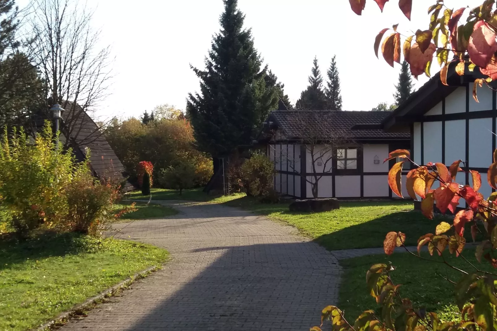 Feriendorf Waldbrunn 2-Buitenkant zomer