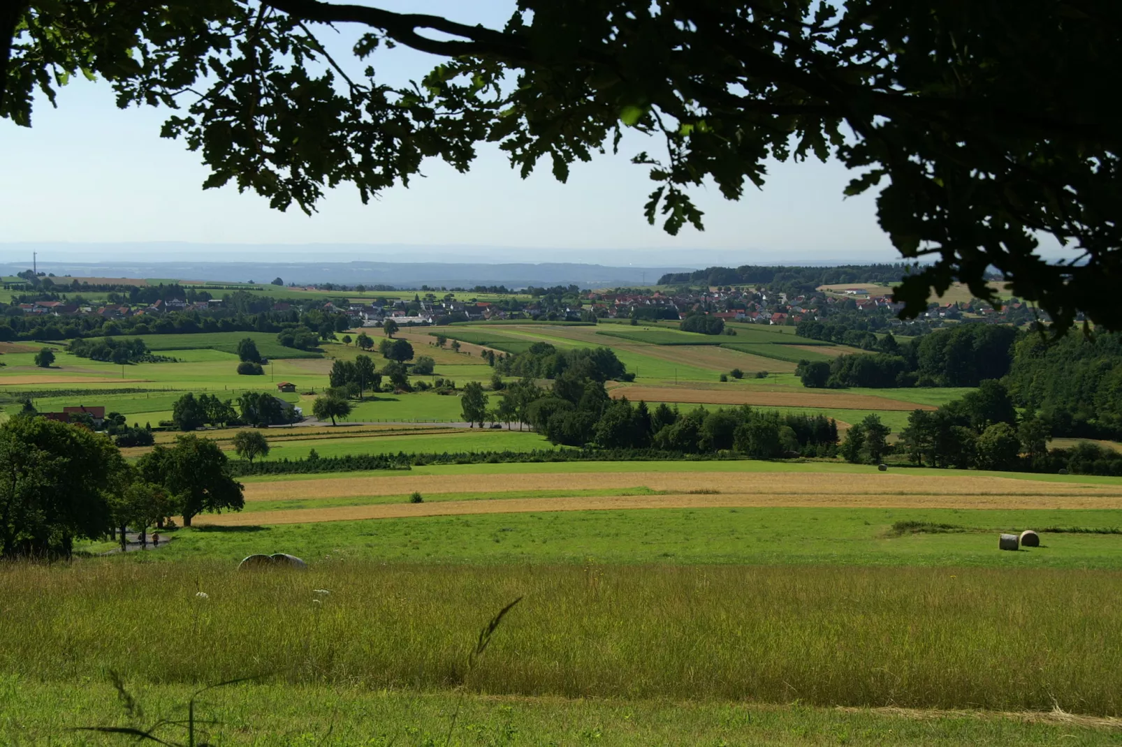 Feriendorf Waldbrunn 2-Gebieden zomer 5km