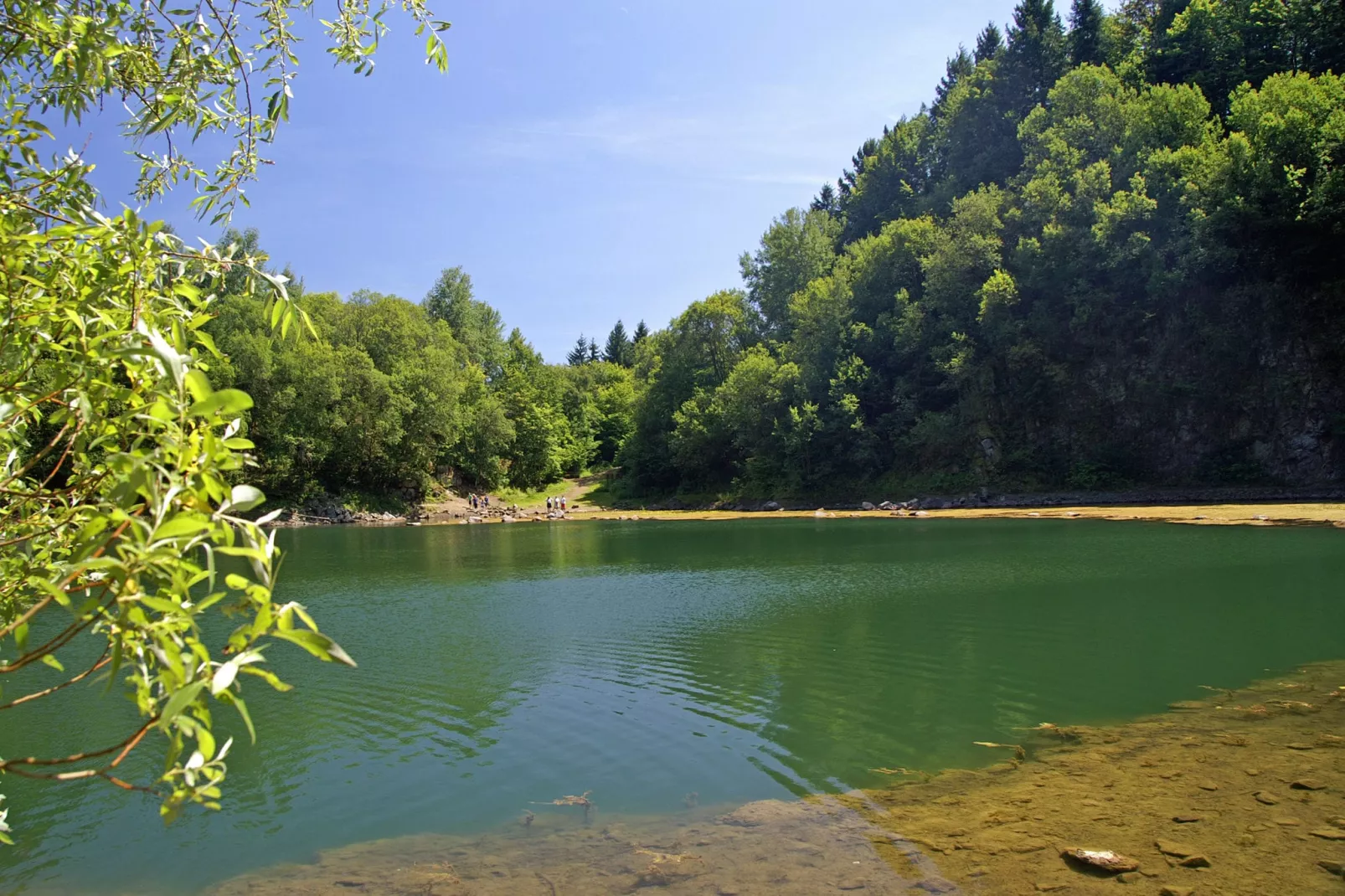 Feriendorf Waldbrunn 2-Gebieden zomer 20km