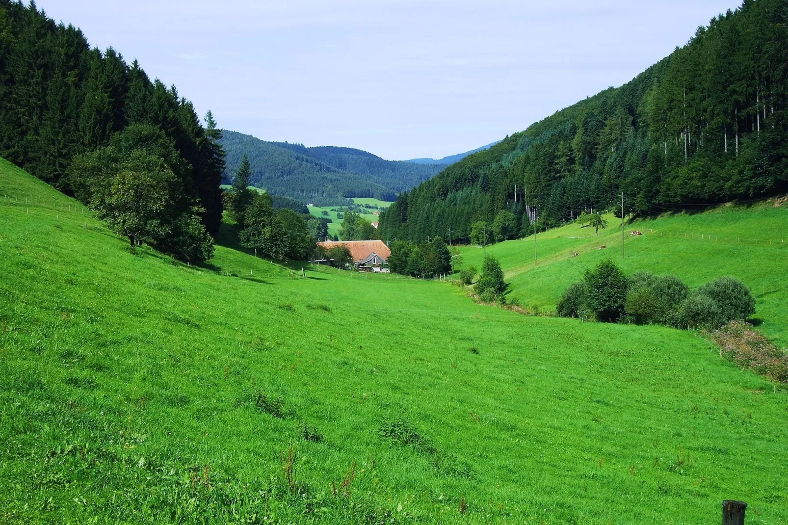 Am Stulzenhof-Gebieden zomer 1km