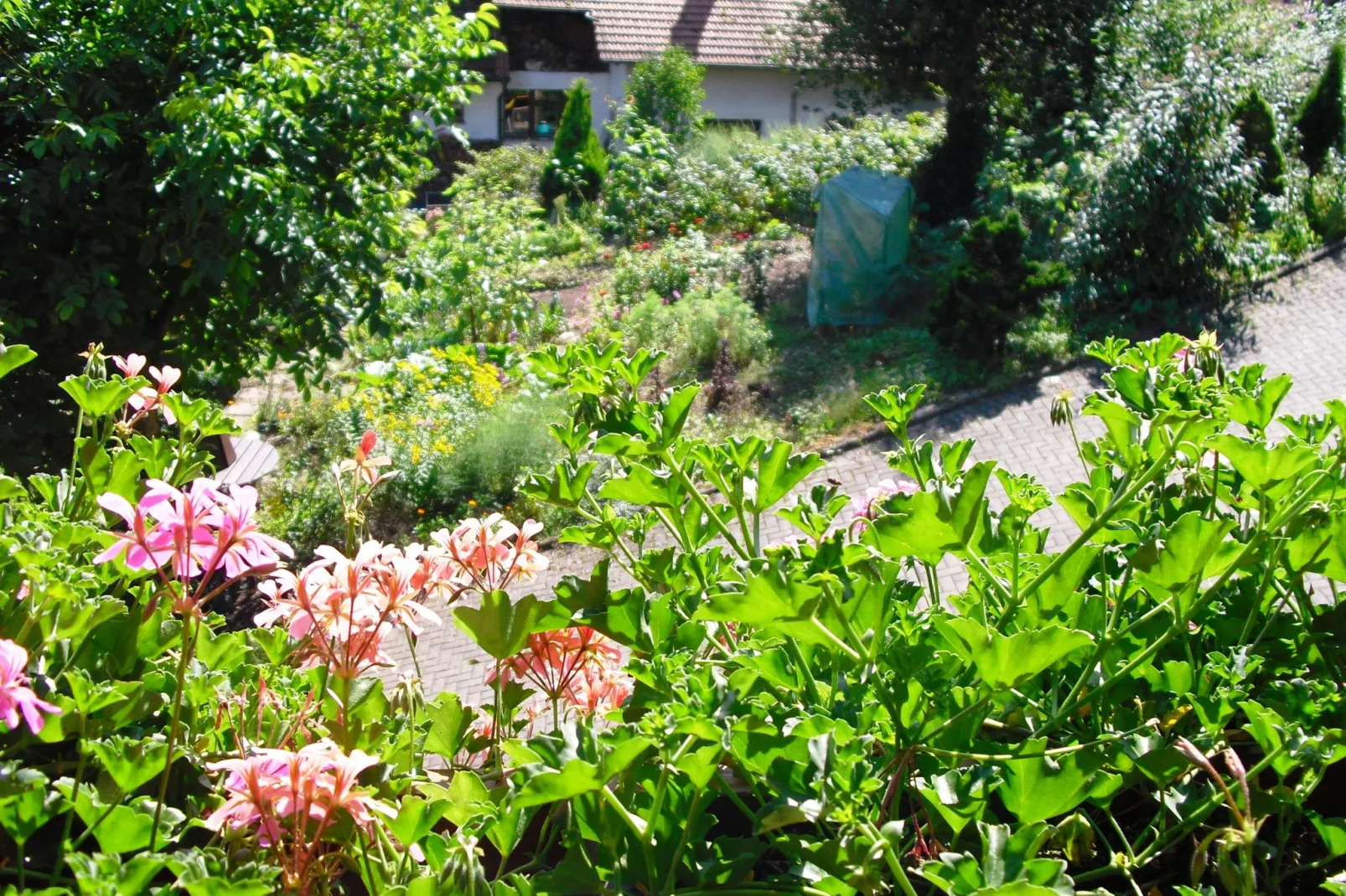 Am Stulzenhof-Tuinen zomer