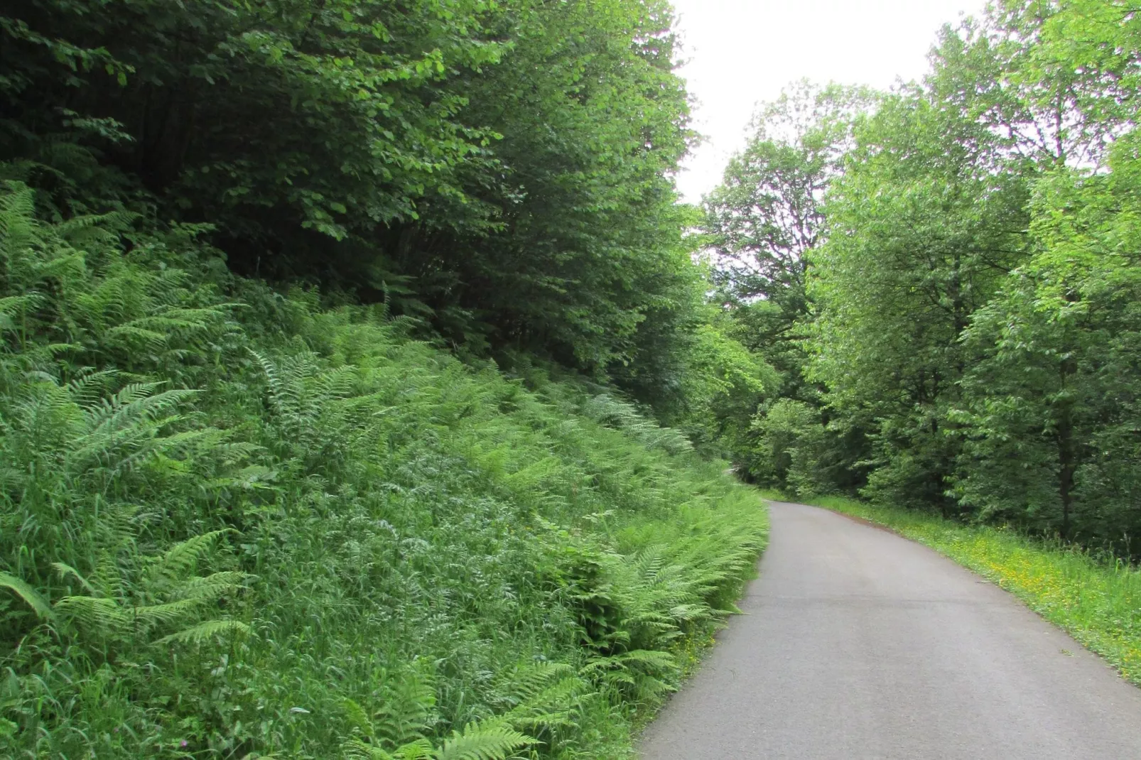 Panoramablick-Gebieden zomer 1km