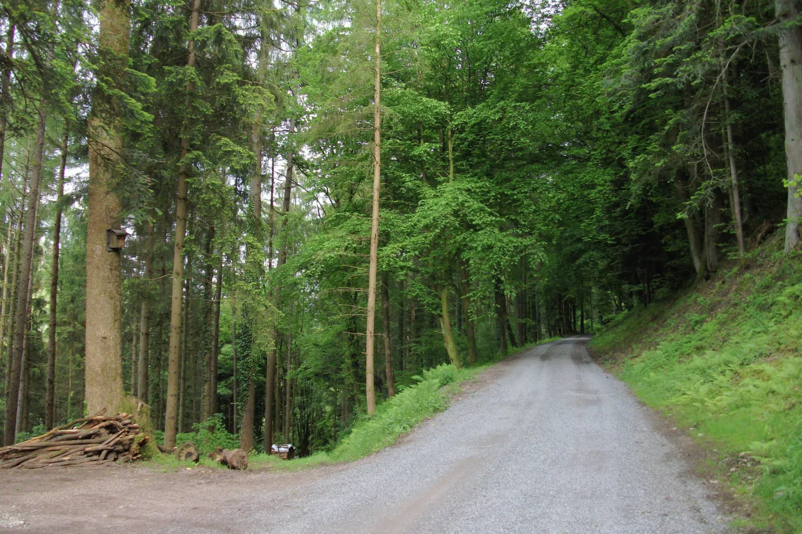 Panoramablick-Gebieden zomer 1km