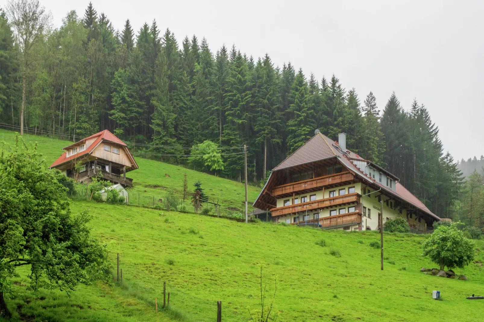 Schwarzwald - Sommeracker