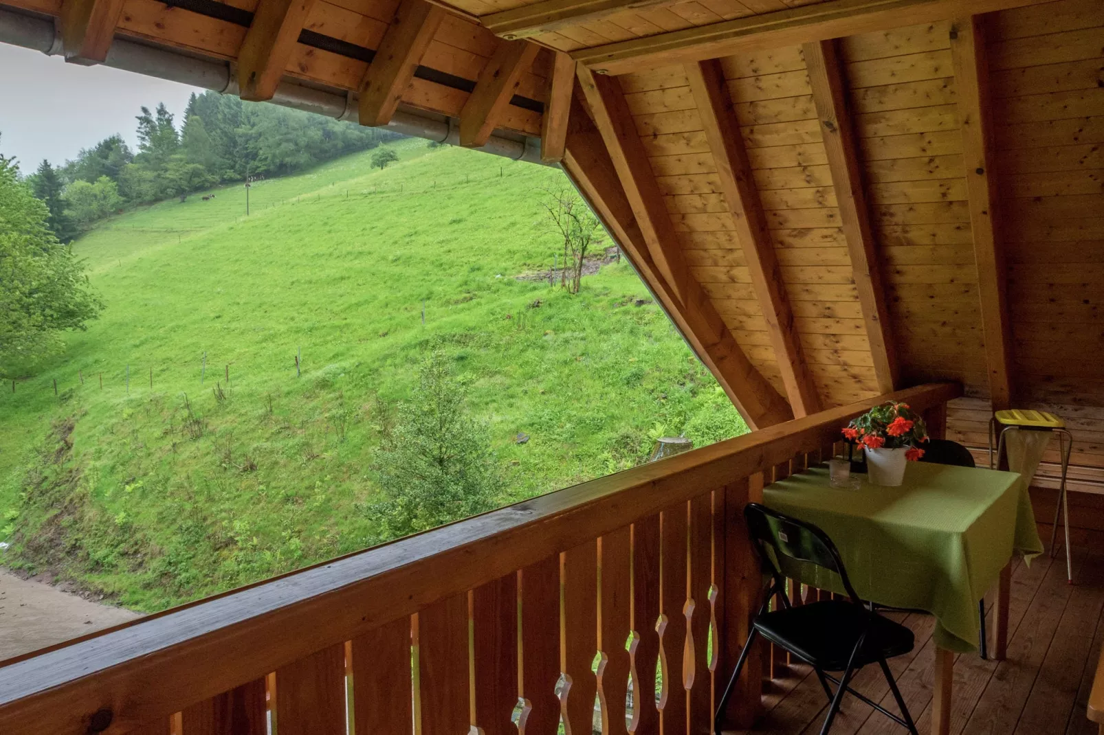 Schwarzwald - Sommeracker-Terrasbalkon