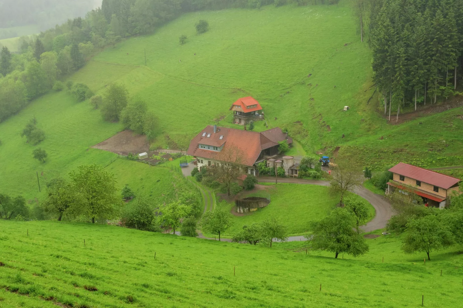 Schwarzwald - Gummenstein