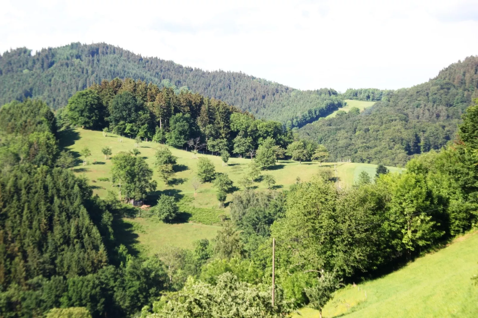Schwarzwald - Gummenstein-Uitzicht zomer