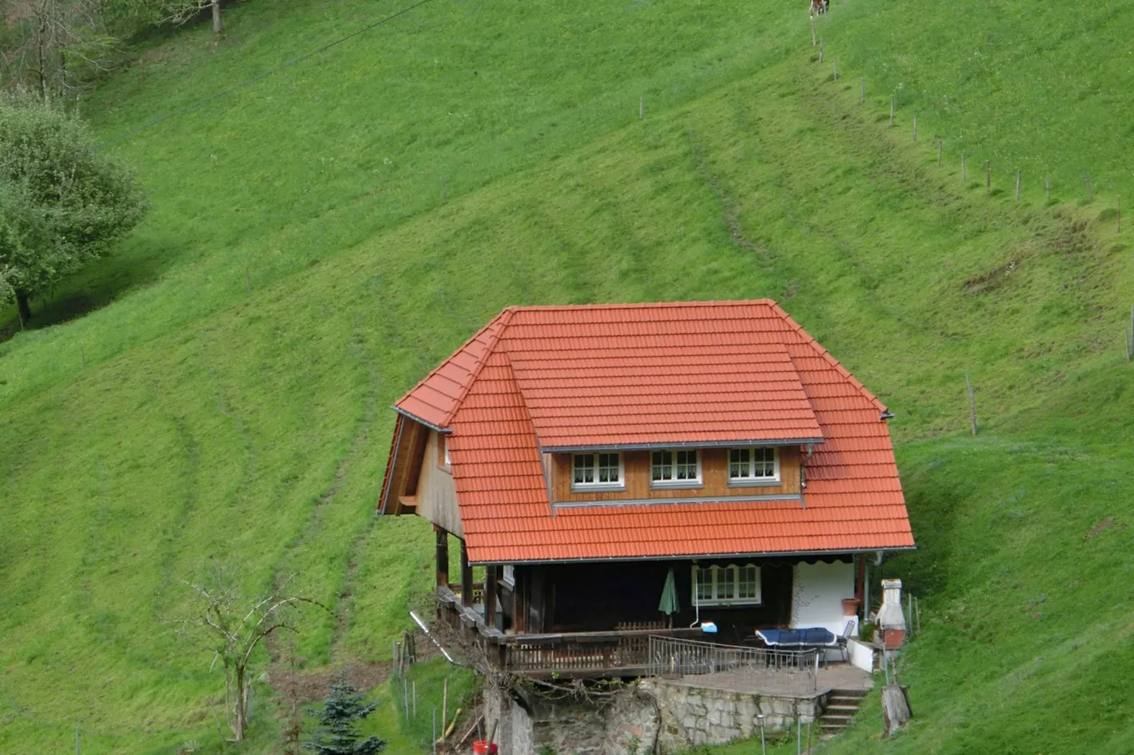 Schwarzwald-Buitenkant zomer