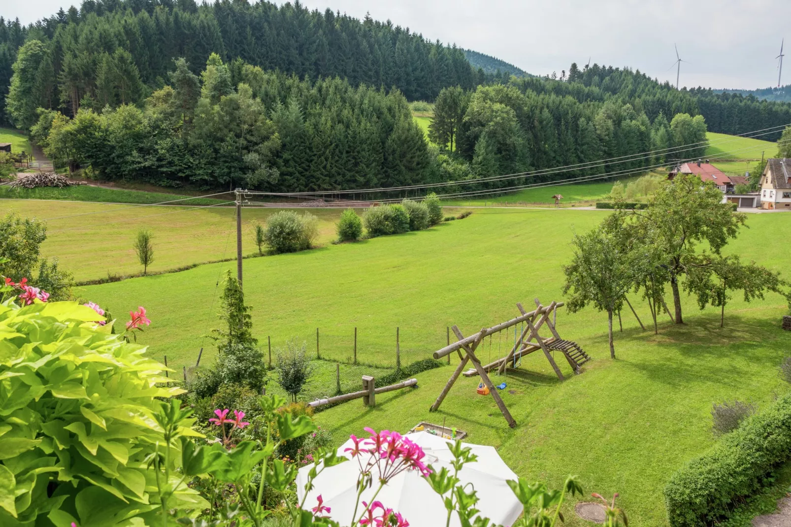 Schwarzwald-Uitzicht zomer