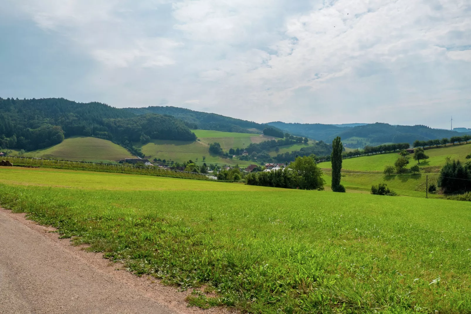 Schwarzwald-Gebieden zomer 1km