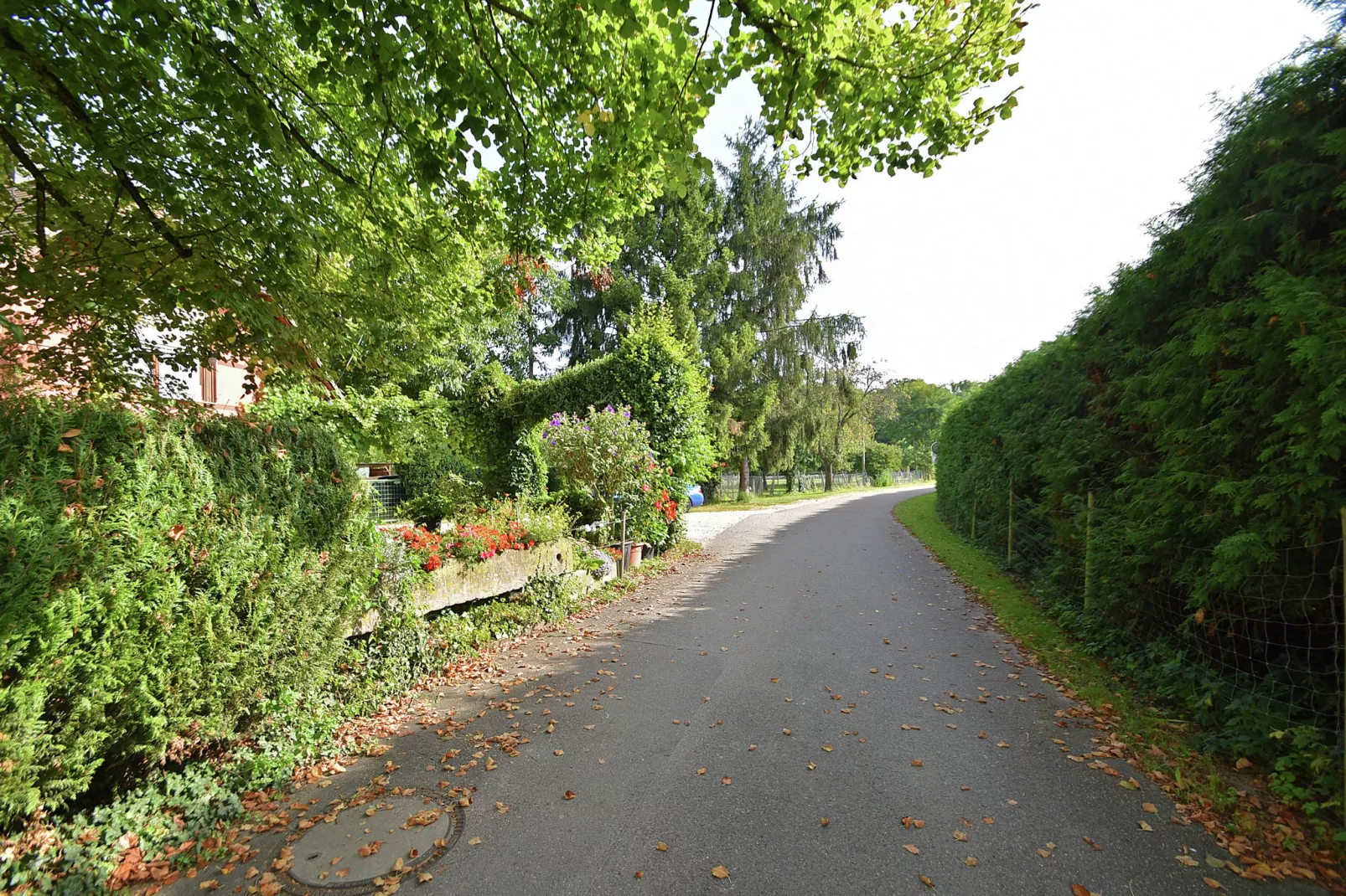 Im Rheintal-Gebieden zomer 1km