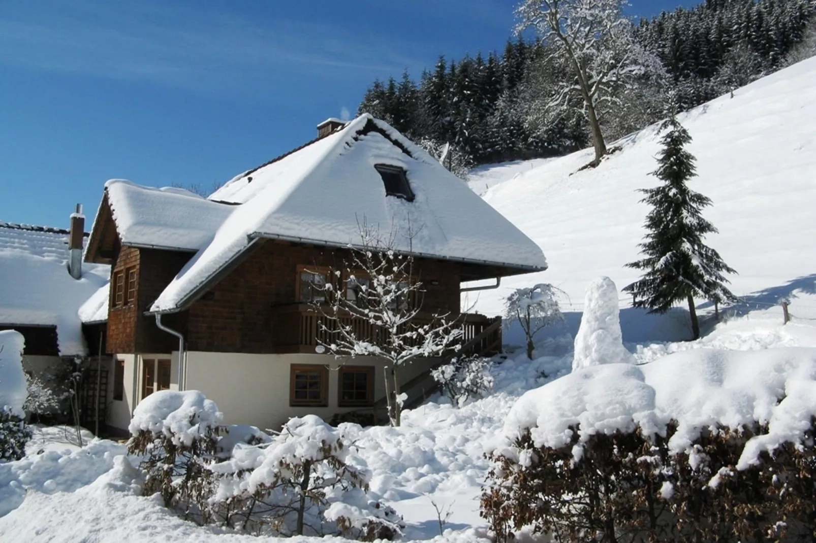 exteriorwinter