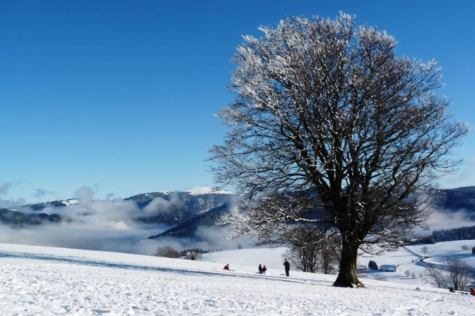 Hexenhaus-Gebied winter 5km
