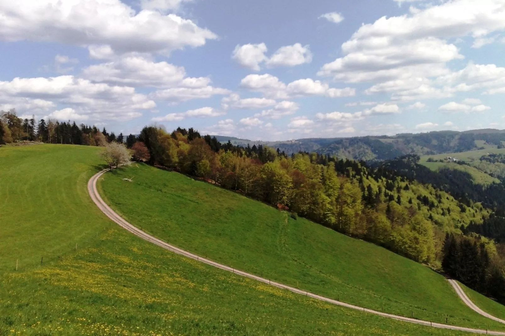 Hexenhaus-Gebieden zomer 1km