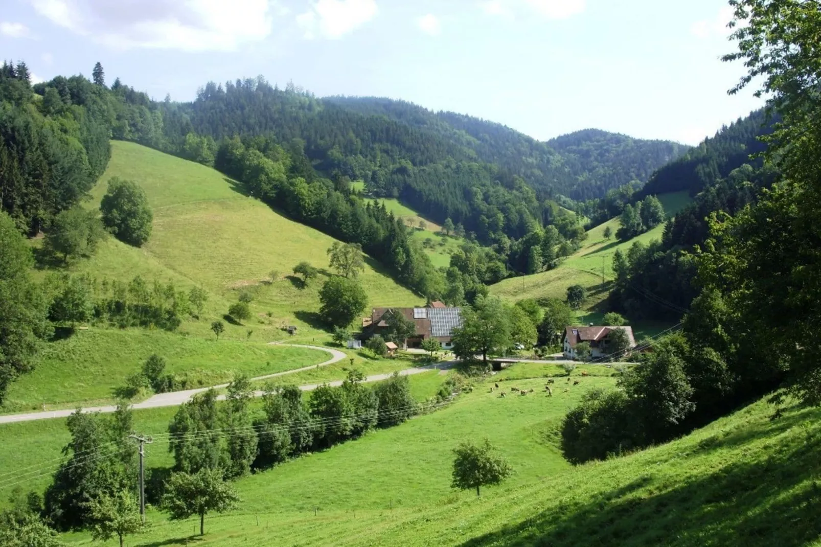 Hexenhaus-Gebieden zomer 1km