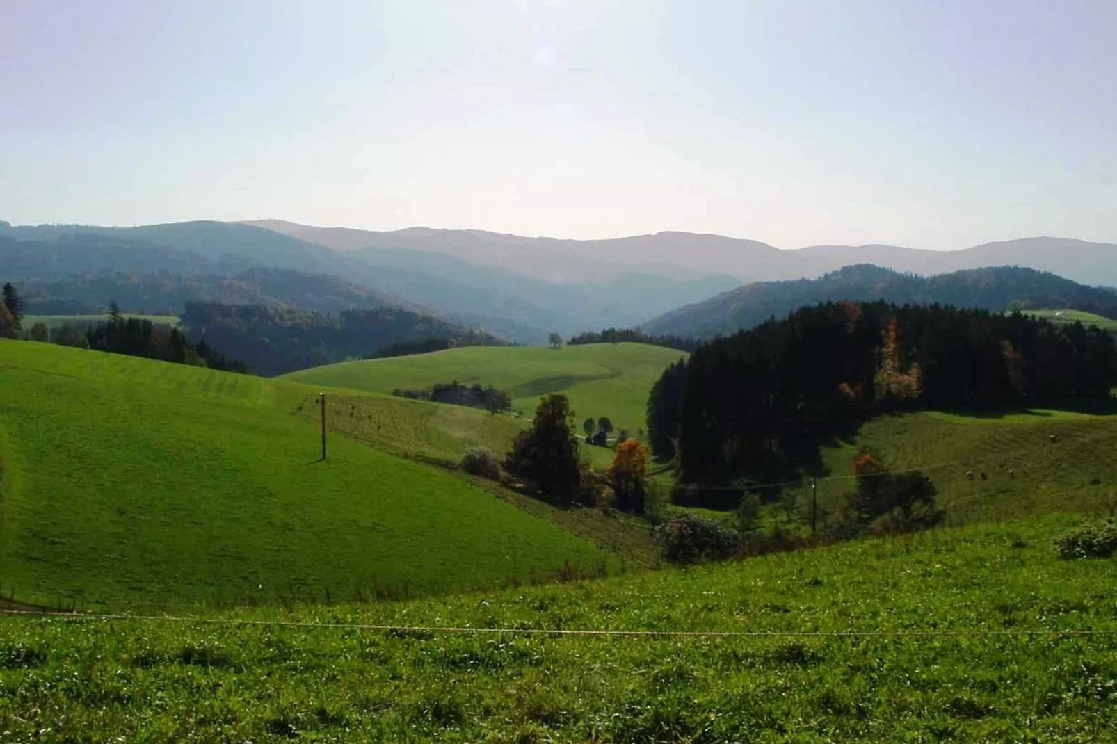 Hexenhaus-Gebieden zomer 5km
