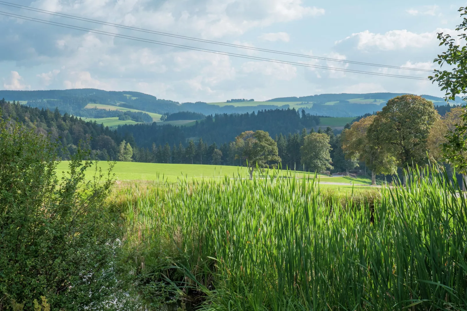 Hexenhaus-Gebieden zomer 5km