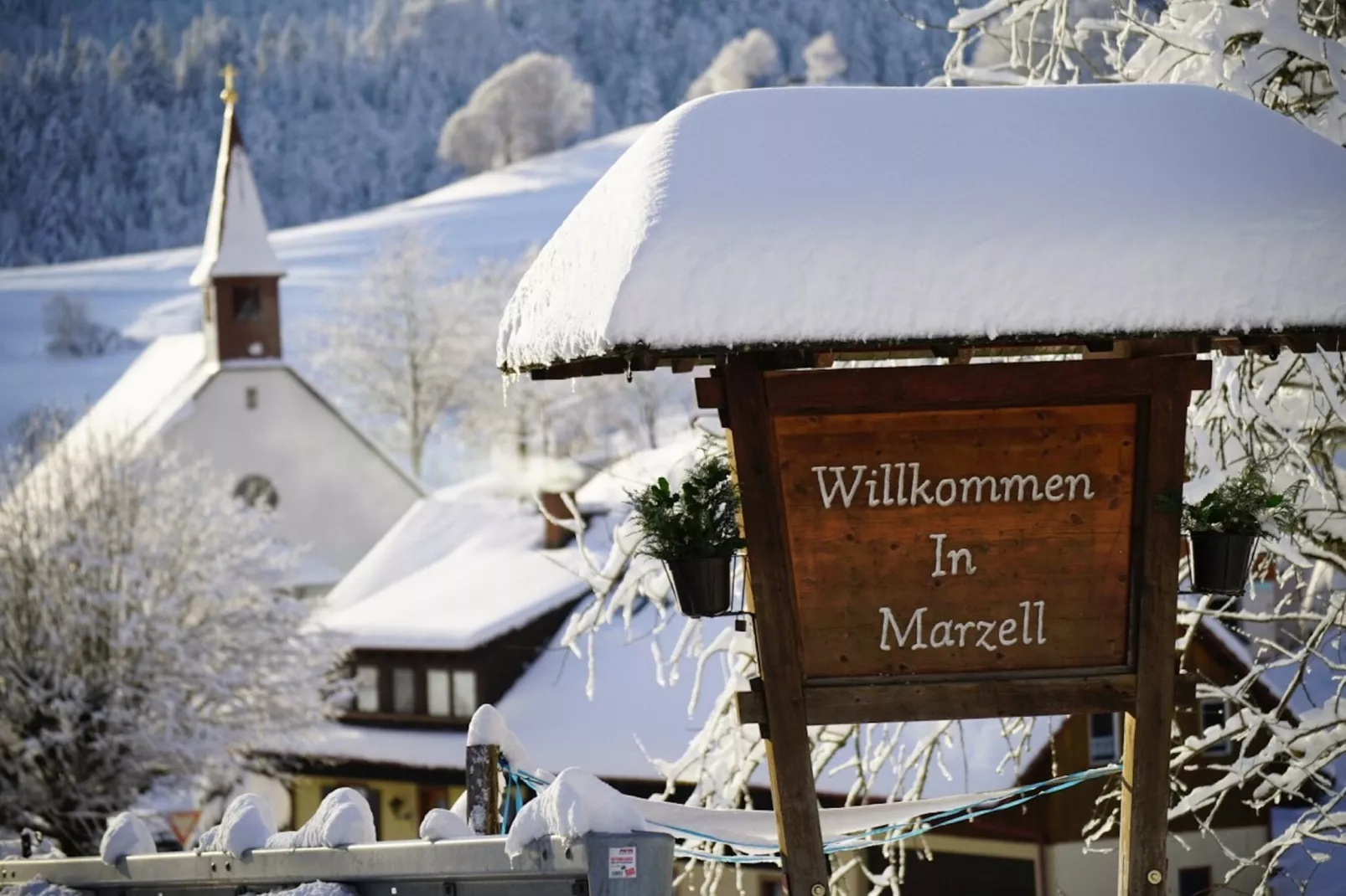 Marzell-Gebied winter 1km