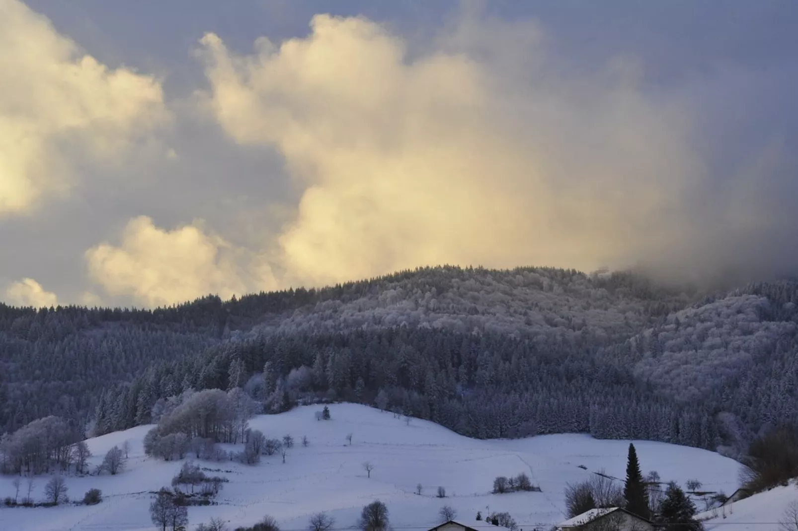 Marzell-Gebied winter 5km