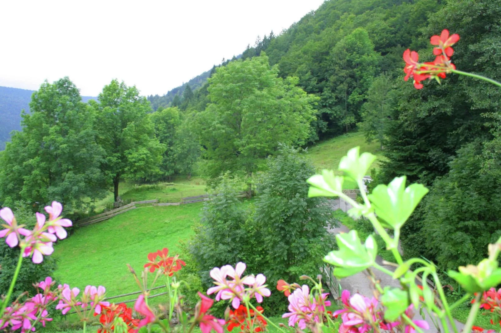 Brandenberg-Uitzicht zomer