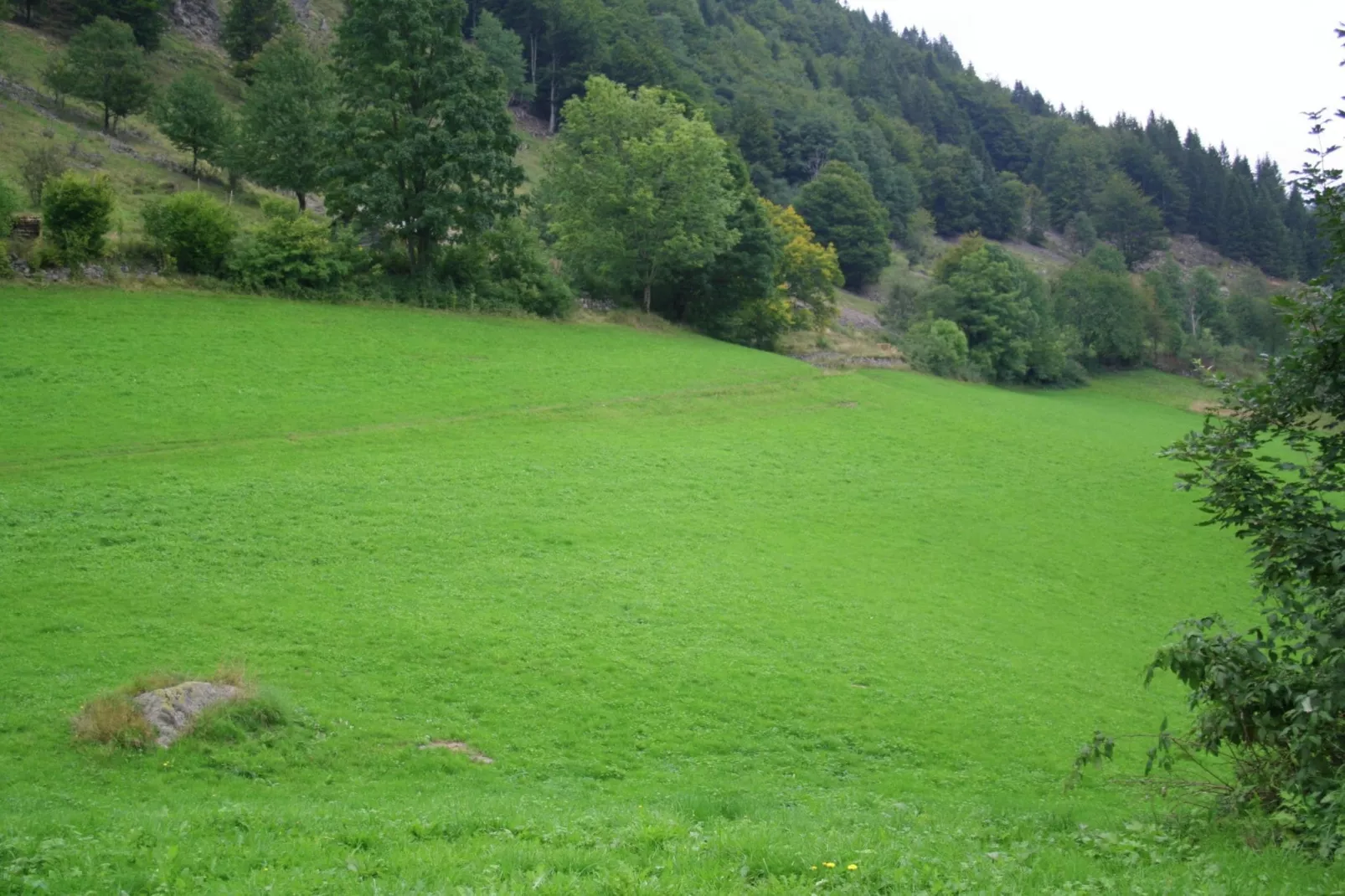 Brandenberg-Gebieden zomer 1km