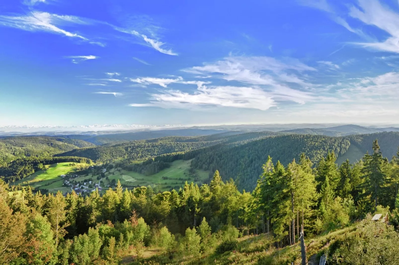 Schwarzwald