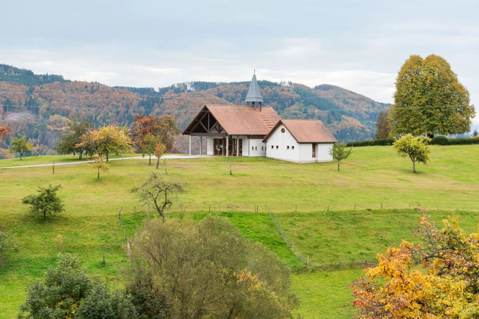 Schwarzwald-Buitenkant zomer