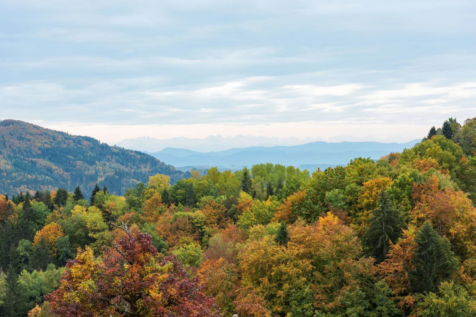 Schwarzwald-Uitzicht zomer