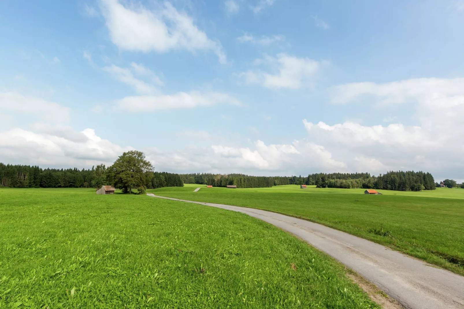 Oberbuchau-Gebieden zomer 1km
