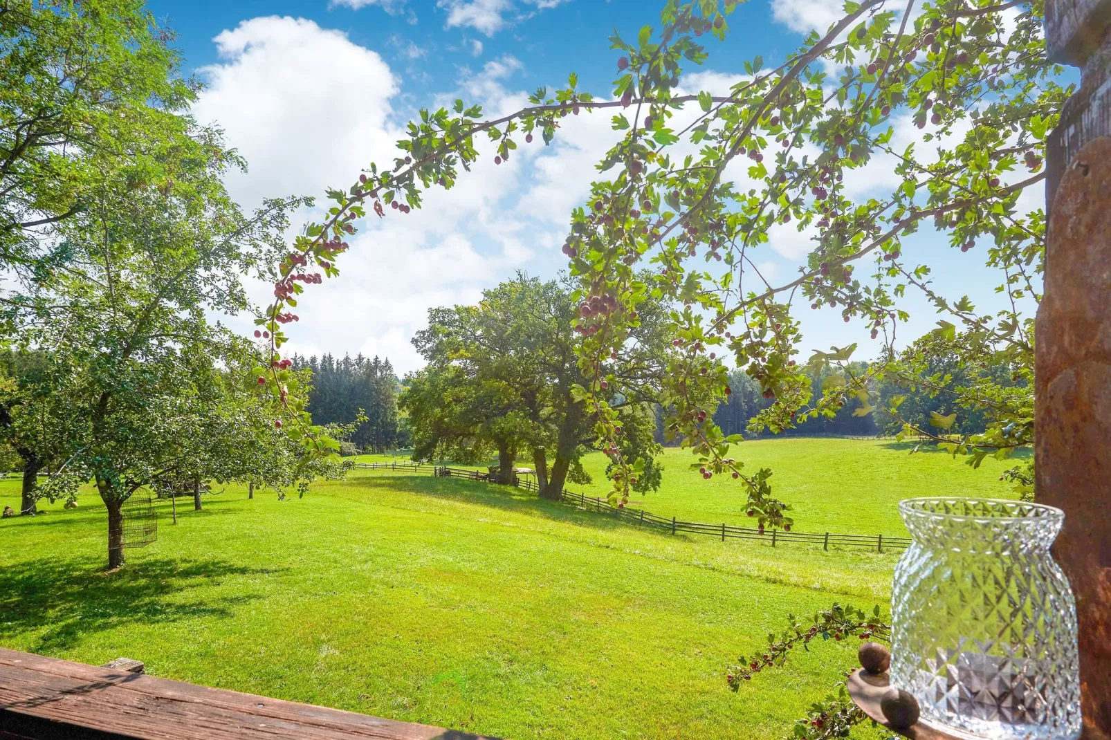 Gut Hartschimmel-Uitzicht zomer