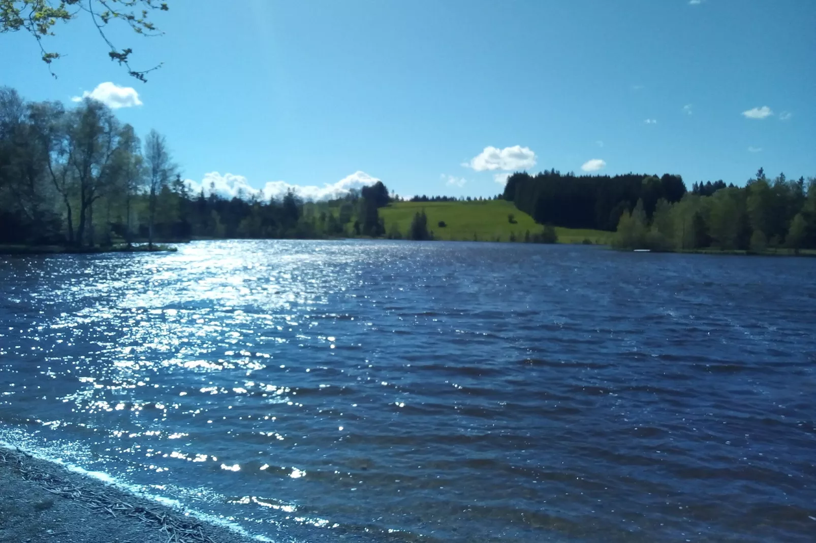 Oachkatzl-Gebieden zomer 5km