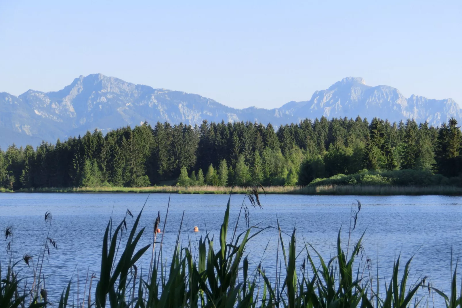 Bad Bayersoien-Gebieden zomer 20km