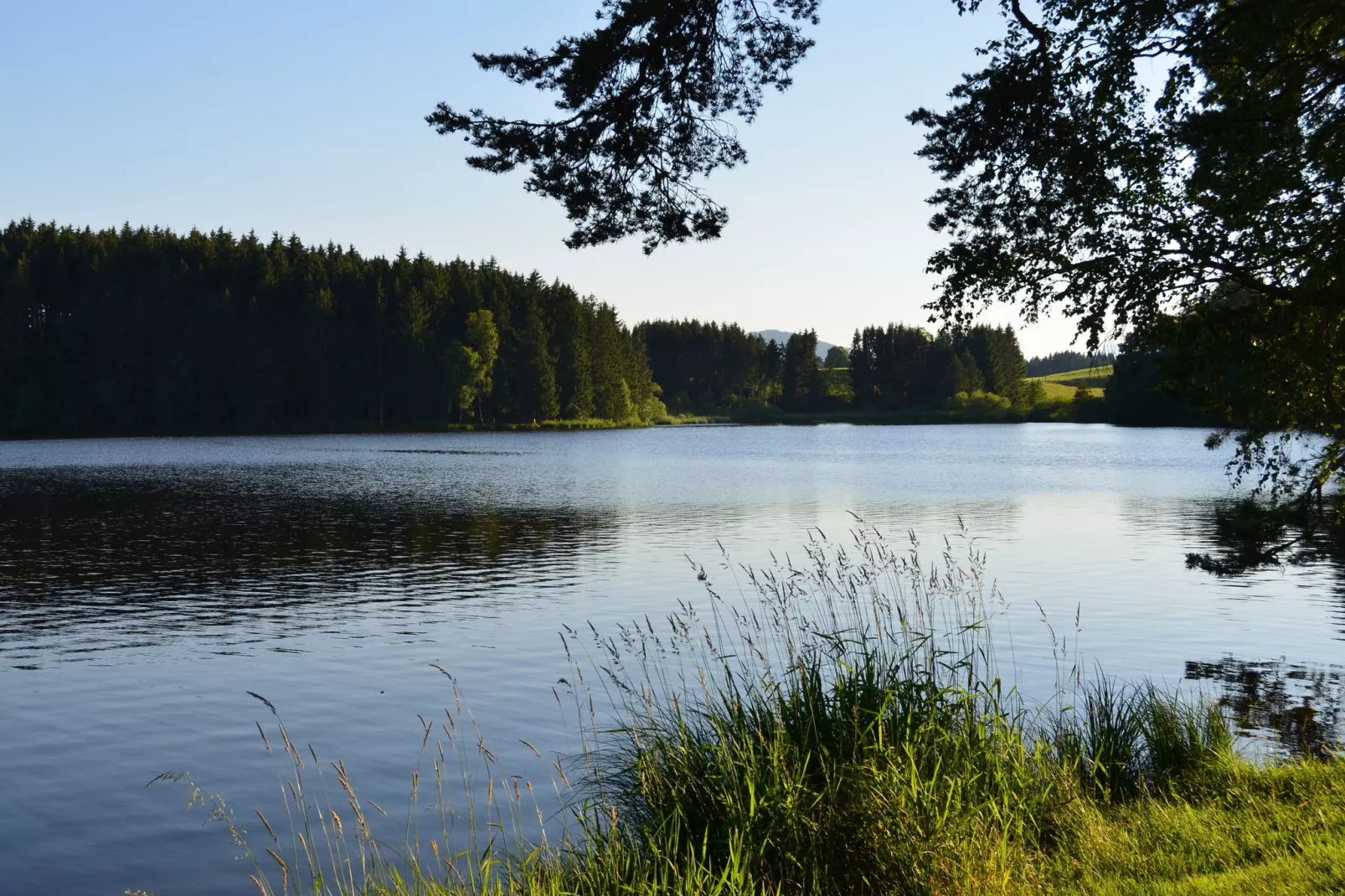 Bad Bayersoien-Gebieden zomer 20km